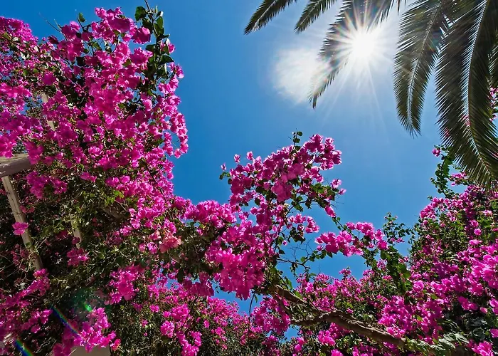 Hotel Atlantis Perissa (Santorini)
